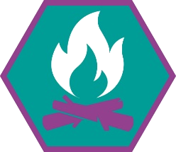 Level 3